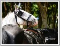 /album/fenykepgaleria/a21355717-b92d7479e81a26958e71e443a97260be-l-jpg1/