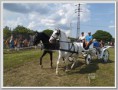 /album/fenykepgaleria/a21463989-8d7e238924bf39e793a1e5a0547a9d30-s-jpg1/